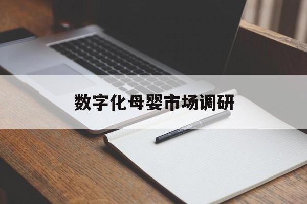牡丹江市数字化母婴市场调研(数字化母婴市场调研报告)